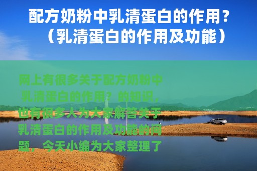 配方奶粉中乳清蛋白的作用？（乳清蛋白的作用及功能）