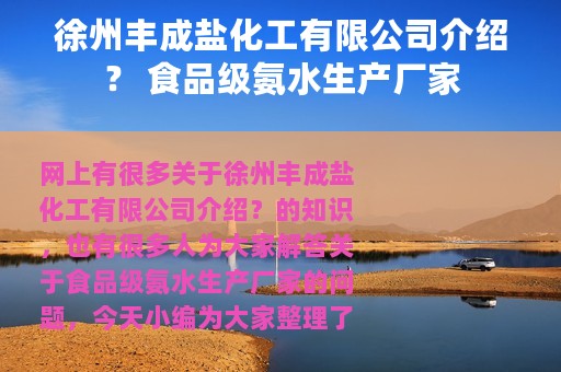 徐州丰成盐化工有限公司介绍？ 食品级氨水生产厂家