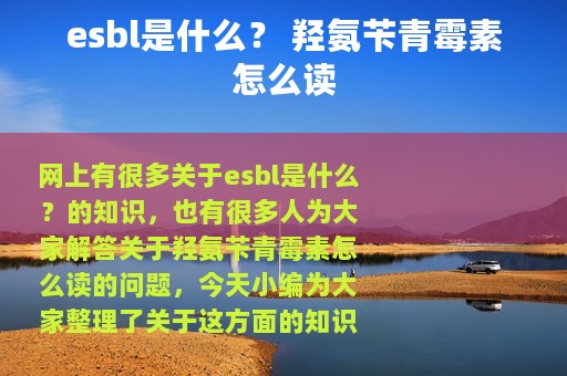 esbl是什么？ 羟氨苄青霉素怎么读