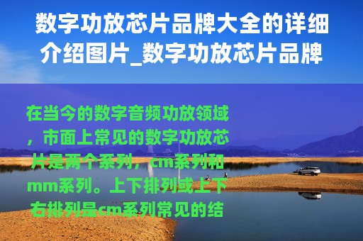 数字功放芯片品牌大全的详细介绍图片_数字功放芯片品牌大全的详细介绍