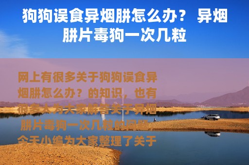狗狗误食异烟肼怎么办？ 异烟肼片毒狗一次几粒