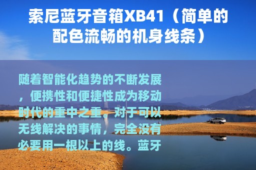 索尼蓝牙音箱XB41（简单的配色流畅的机身线条）