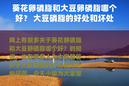 葵花卵磷脂和大豆卵磷脂哪个好？ 大豆磷脂的好处和坏处
