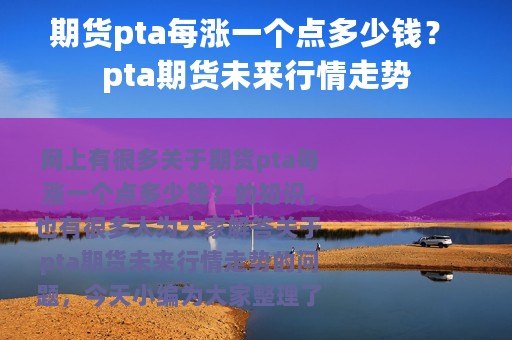 期货pta每涨一个点多少钱？ pta期货未来行情走势