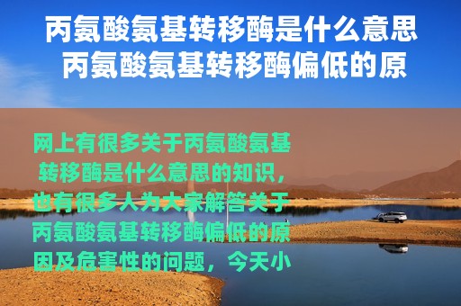 丙氨酸氨基转移酶是什么意思 丙氨酸氨基转移酶偏低的原因及危害性