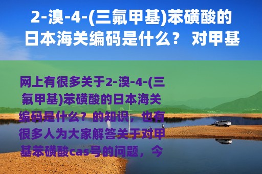 2-溴-4-(三氟甲基)苯磺酸的日本海关编码是什么？ 对甲基苯磺酸cas号