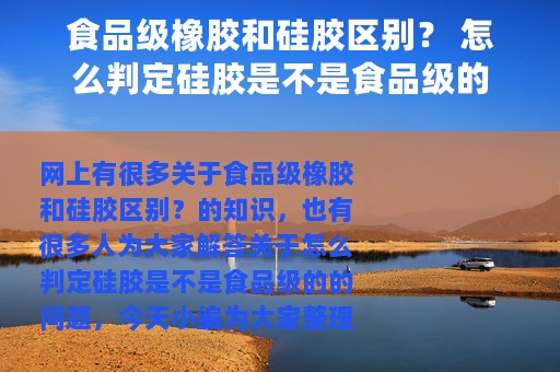 食品级橡胶和硅胶区别？ 怎么判定硅胶是不是食品级的