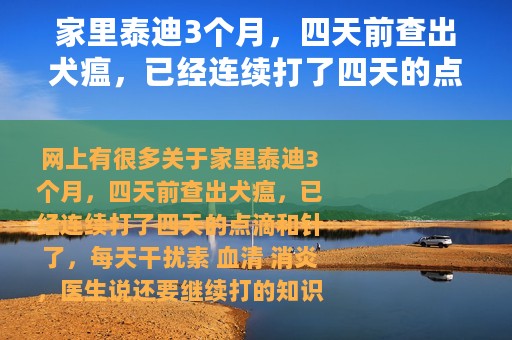 家里泰迪3个月，四天前查出犬瘟，已经连续打了四天的点滴和针了，每天干扰素 血清 消炎，医生说还要继续打 利巴韦林颗粒是消炎药吗