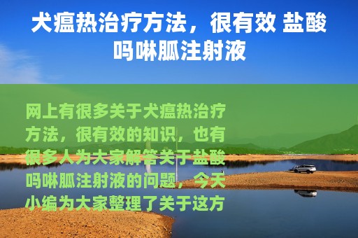 犬瘟热治疗方法，很有效 盐酸吗啉胍注射液