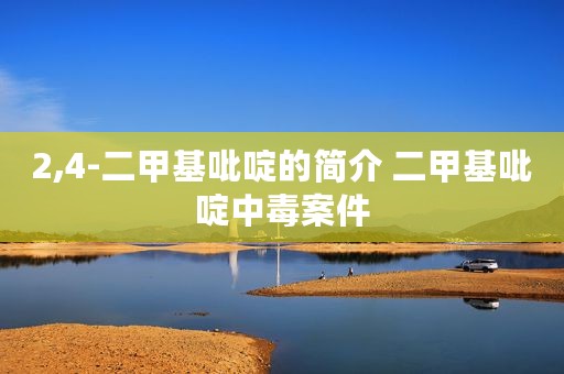 2,4-二甲基吡啶的简介 二甲基吡啶中毒案件