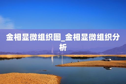 金相显微组织图_金相显微组织分析