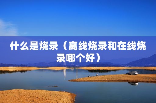什么是烧录（离线烧录和在线烧录哪个好）