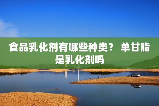 食品乳化剂有哪些种类？ 单甘脂是乳化剂吗