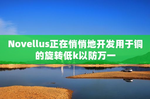 Novellus正在悄悄地开发用于铜的旋转低k以防万一