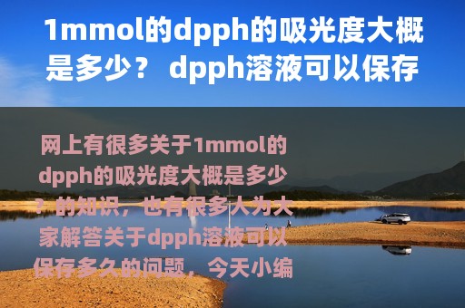 1mmol的dpph的吸光度大概是多少？ dpph溶液可以保存多久