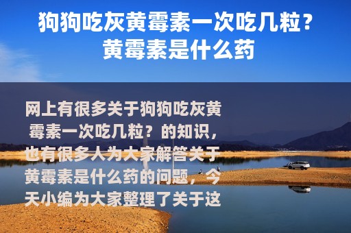 狗狗吃灰黄霉素一次吃几粒？ 黄霉素是什么药