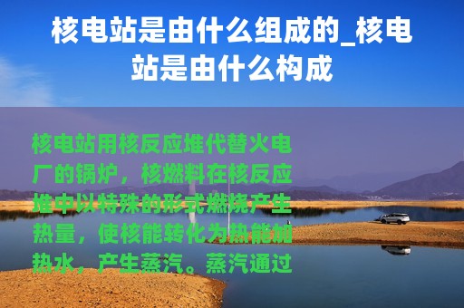 核电站是由什么组成的_核电站是由什么构成