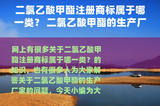 二氯乙酸甲酯注册商标属于哪一类？ 二氯乙酸甲酯的生产厂家