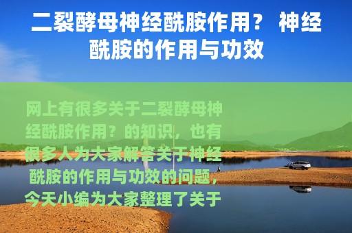 二裂酵母神经酰胺作用？ 神经酰胺的作用与功效