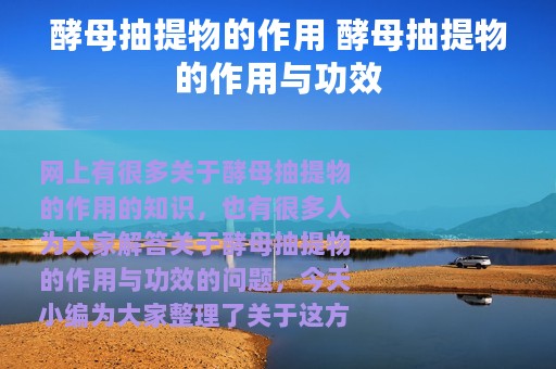 酵母抽提物的作用 酵母抽提物的作用与功效