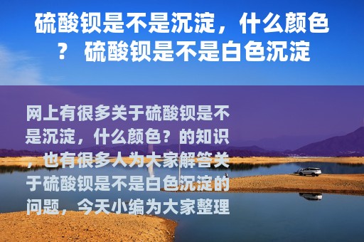 硫酸钡是不是沉淀，什么颜色？ 硫酸钡是不是白色沉淀