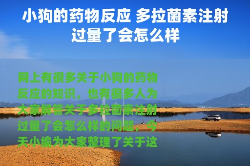 小狗的药物反应 多拉菌素注射过量了会怎么样