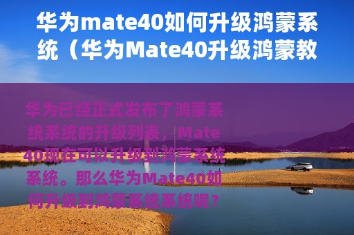 华为mate40如何升级鸿蒙系统（华为Mate40升级鸿蒙教程）