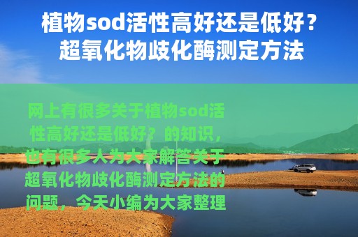 植物sod活性高好还是低好？ 超氧化物歧化酶测定方法