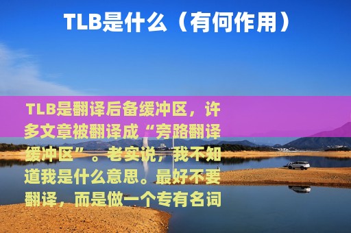 TLB是什么（有何作用）