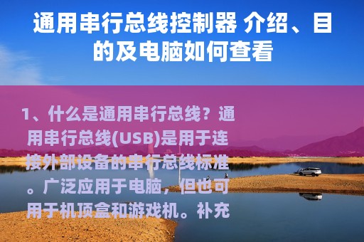 通用串行总线控制器 介绍、目的及电脑如何查看