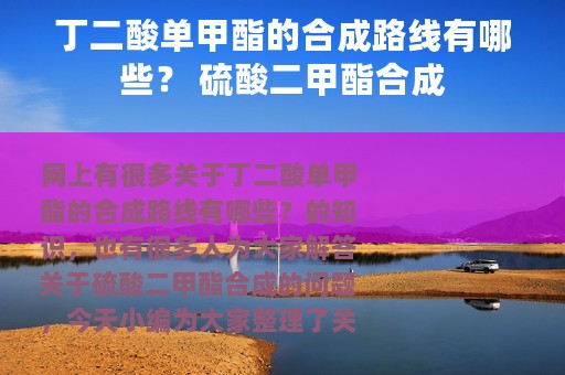 丁二酸单甲酯的合成路线有哪些？ 硫酸二甲酯合成