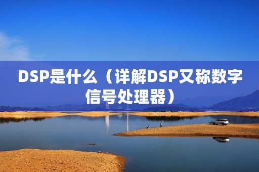 DSP是什么（详解DSP又称数字信号处理器）