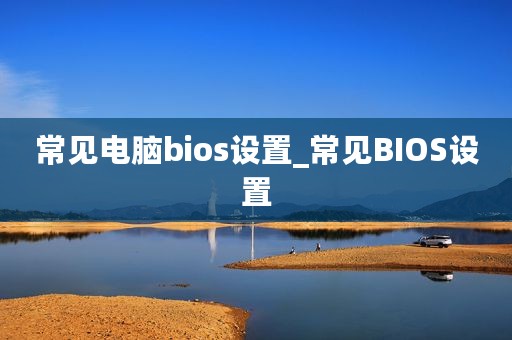 常见电脑bios设置_常见BIOS设置