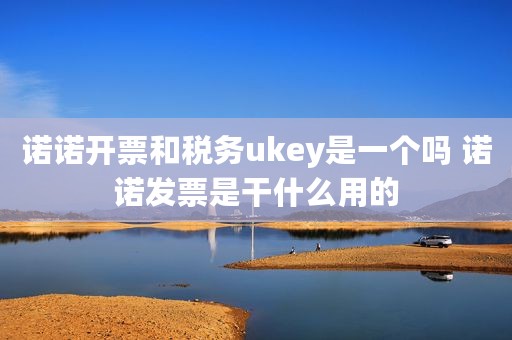 诺诺开票和税务ukey是一个吗 诺诺发票是干什么用的