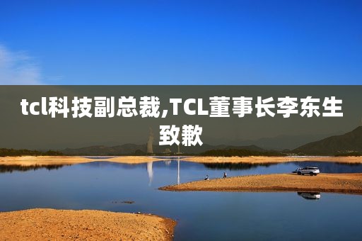 tcl科技副总裁,TCL董事长李东生致歉