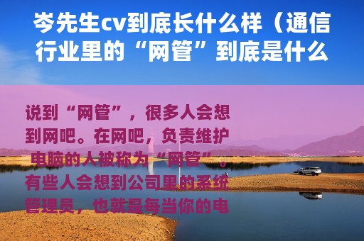 岑先生cv到底长什么样（通信行业里的“网管”到底是什么）