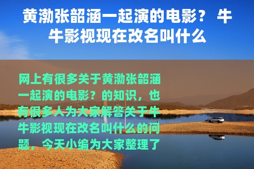 黄渤张韶涵一起演的电影？ 牛牛影视现在改名叫什么