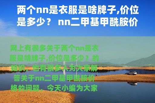 两个nn是衣服是啥牌子,价位是多少？ nn二甲基甲酰胺价格
