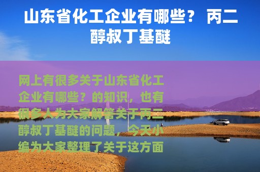 山东省化工企业有哪些？ 丙二醇叔丁基醚
