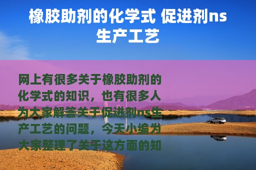 橡胶助剂的化学式 促进剂ns生产工艺