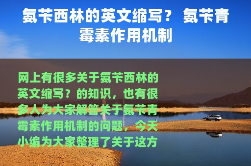 氨苄西林的英文缩写？ 氨苄青霉素作用机制