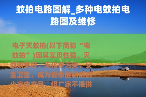 蚊拍电路图解_多种电蚊拍电路图及维修