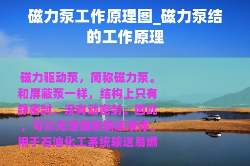 磁力泵工作原理图_磁力泵结的工作原理