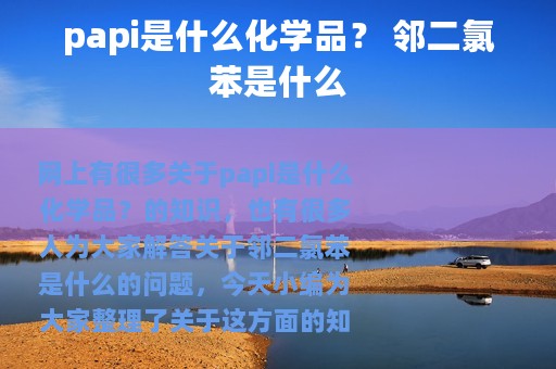papi是什么化学品？ 邻二氯苯是什么
