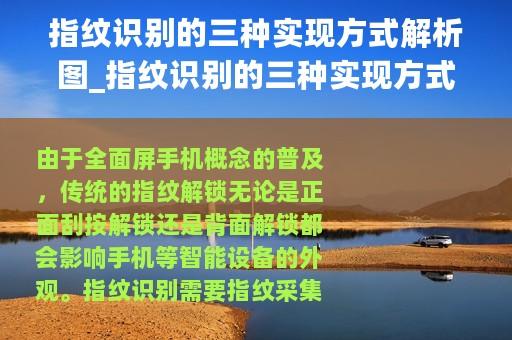 指纹识别的三种实现方式解析图_指纹识别的三种实现方式解析