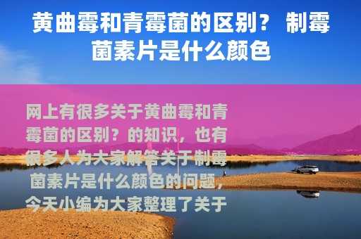 黄曲霉和青霉菌的区别？ 制霉菌素片是什么颜色