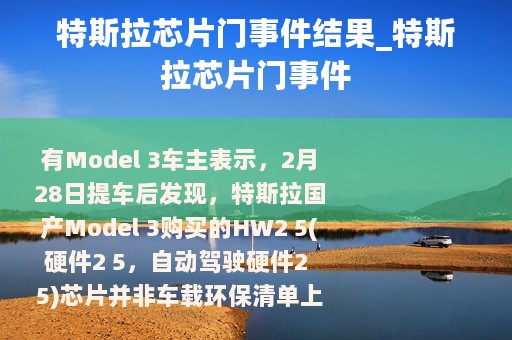 特斯拉芯片门事件结果_特斯拉芯片门事件