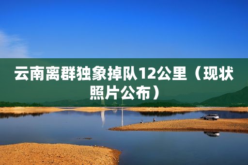 云南离群独象掉队12公里（现状照片公布）