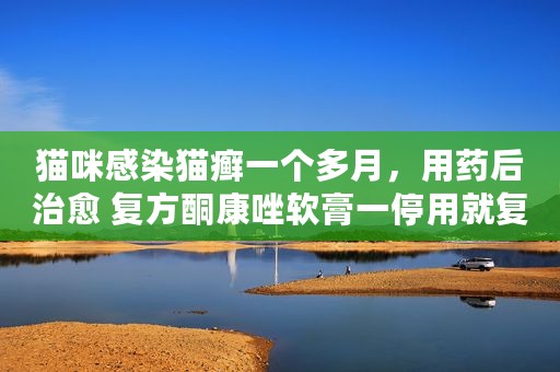 猫咪感染猫癣一个多月，用药后治愈 复方酮康唑软膏一停用就复发