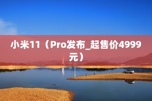 小米11（Pro发布_起售价4999元）